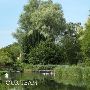 Our Team