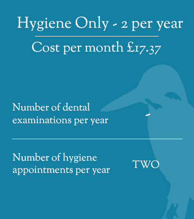 River dental payment plan Hygiene Only - 2 per year 2026